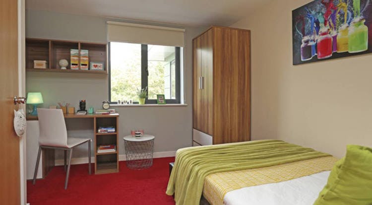 Book Classic Ensuite Lower Ground - Behn Hall